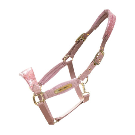 Capestro Velvet Unicorno glitterato Kentucky