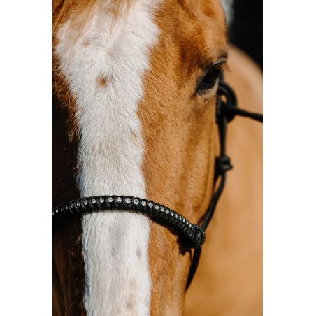 Capestro etologico in nylon Norton Diams