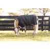 Coperta Horseware Amigo 1200D Pony Turnout 0g - Nero / grigio titanio / argento