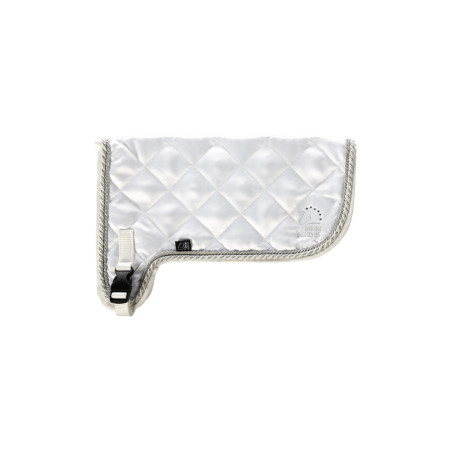 Copertura torneo HKM Hobby Horsing