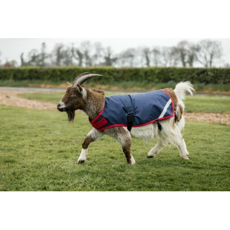 Coperta per capra Horseware 0g