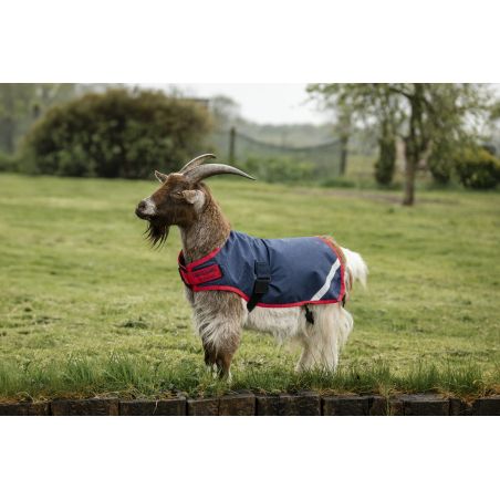 Coperta per capra Horseware 200g