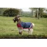 Coperta per capra Horseware 200g - Blu navy / rosso