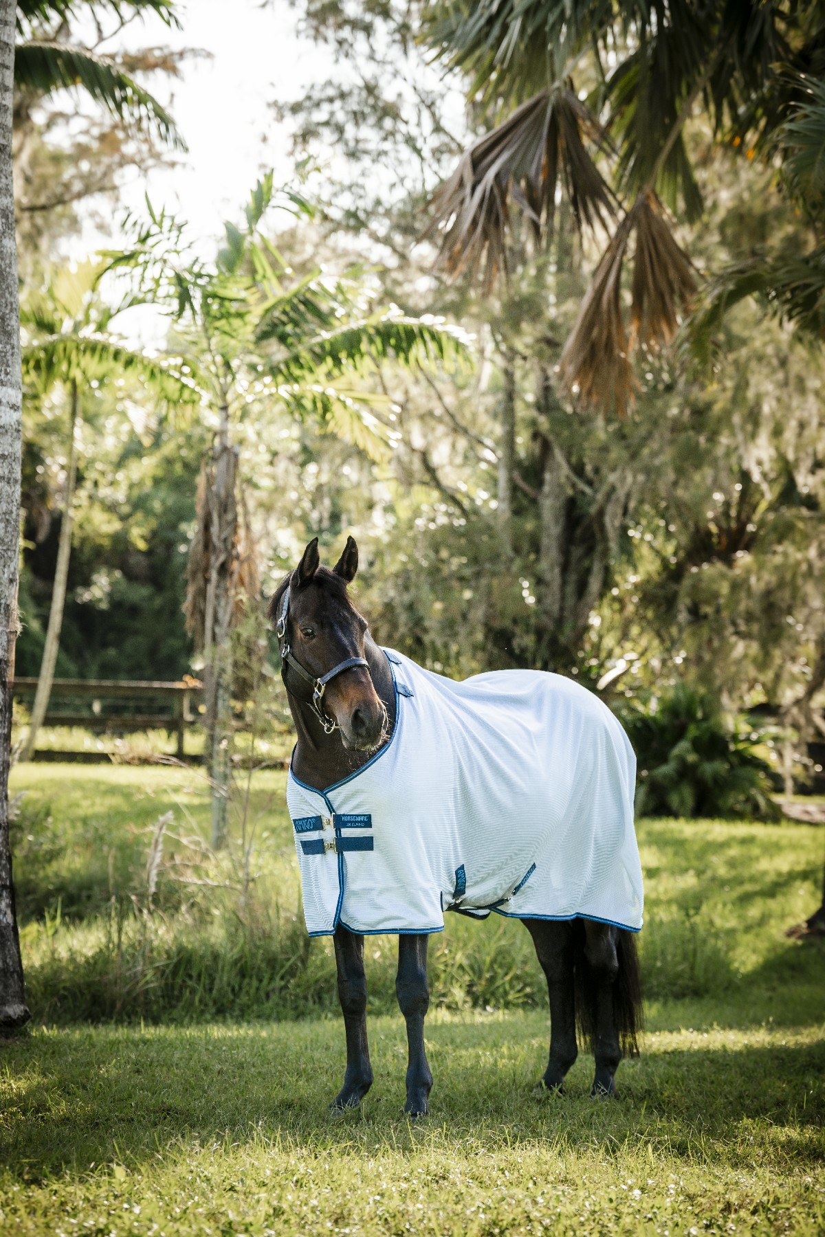 Camiccia anti-insetti Horseware Amigo Bug Rug