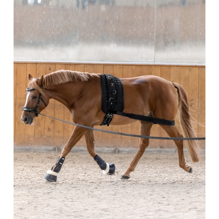 Benda per il corpo Waldhausen posteriore