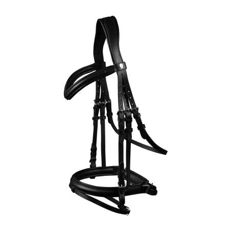 Bridon Waldhausen X-Line Stoccolma capezzina combinata pull back