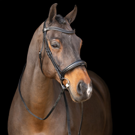 Briglia con capezzina inglese Imperial Riding