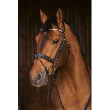 Briglia Pénélope Daily Strass SR