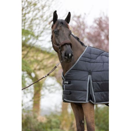 Liner ergonomico 100G ProConfort Gatsby