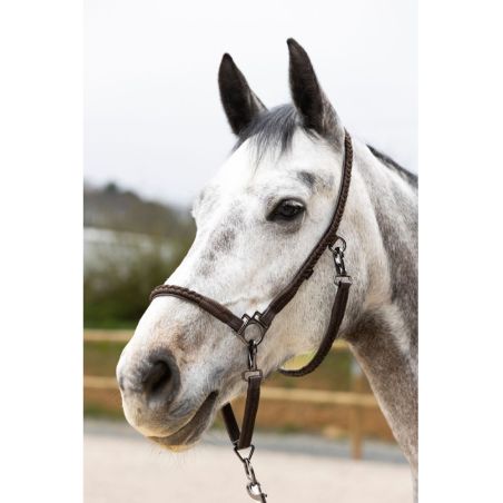 Cavezza da grooming ProConfort Dialou