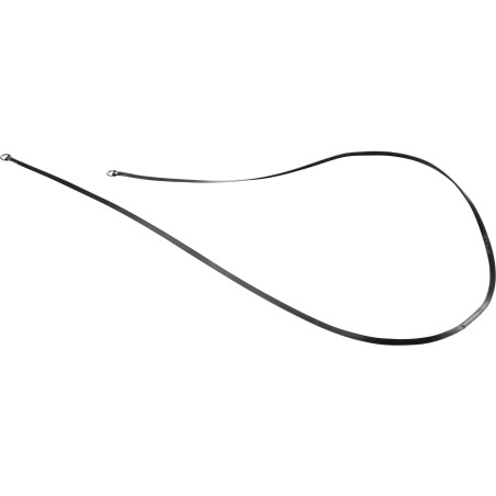 Redini gogue Eric Thomas Pro