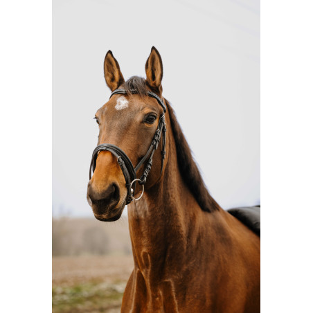 Briglia Norton Club Strass V