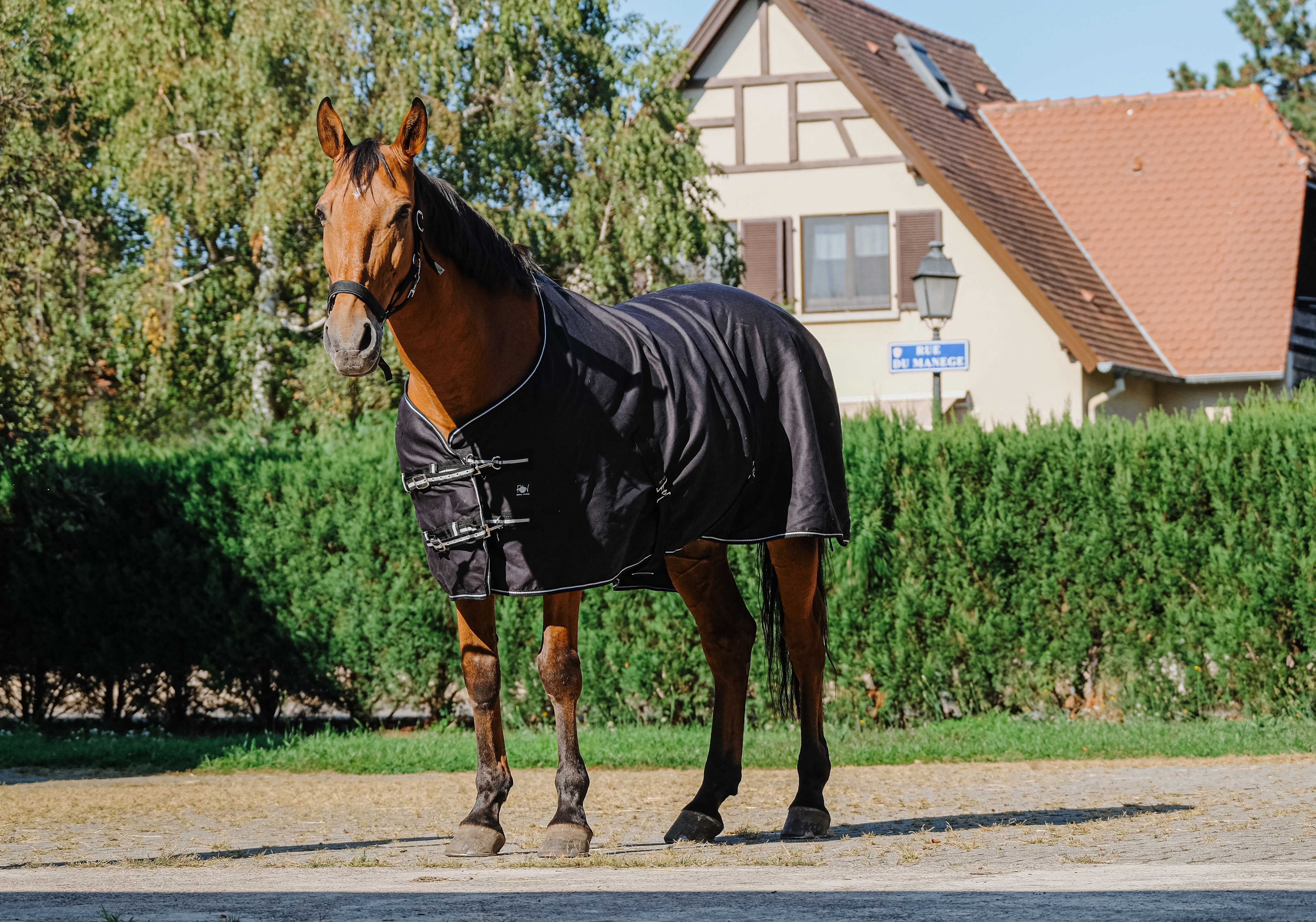 Camicia brillante Riding World Nero