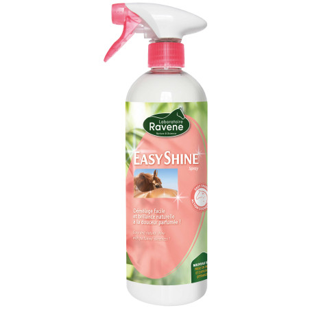 Easy Shine Ravene Eco-Ricarica