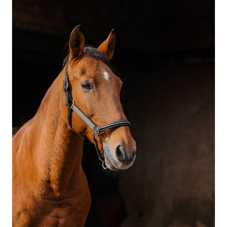 Capestro in nylon Equithème Domino