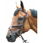 Briglia Royan Incrociata Privilege Equitazione