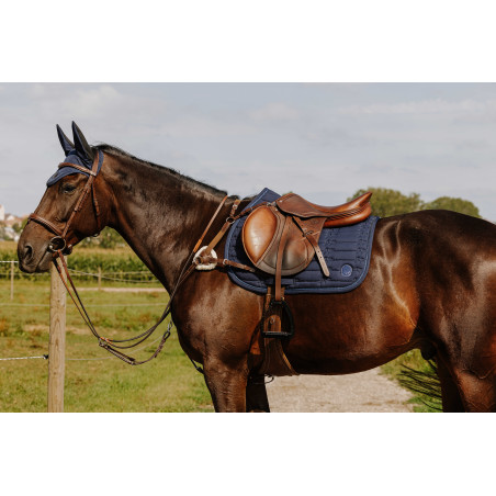 Pettorale NORTON - 5 punti