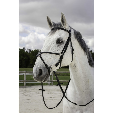 Briglia Riding World Capezzina incrociata