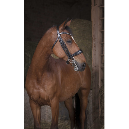 Sottosella Norton Pro