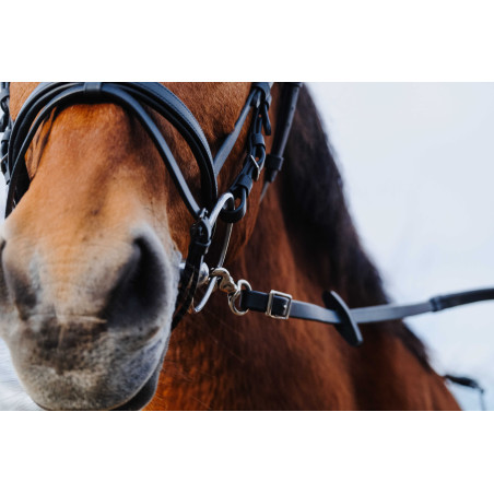 Redini in gomma Norton Training PVC