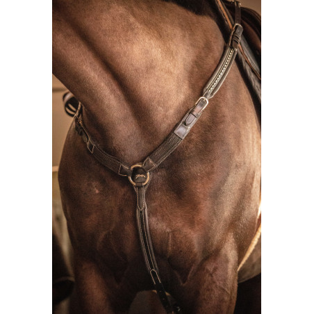 Martin collier Penelope