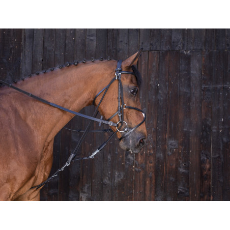 Gogue a carrucole Riding World