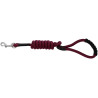 Guinzaglio per cane con maniglia RIDING WORLD - Lucky - Bordeaux
