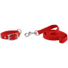 Collare e guinzaglio per cane RIDING WORLD - Oscar - Rosso