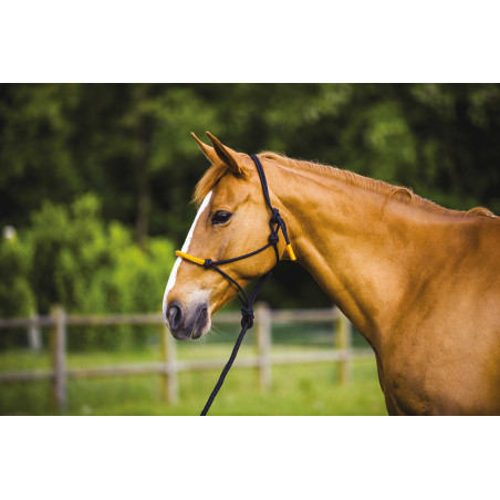 CAPEZZA ETOLÓGICA + LUNGA FUN COLOUR