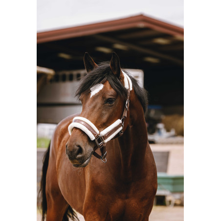 Capestro in nylon Equithème Fashion