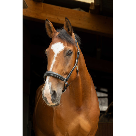 Capezzina anatomica Norton Pro