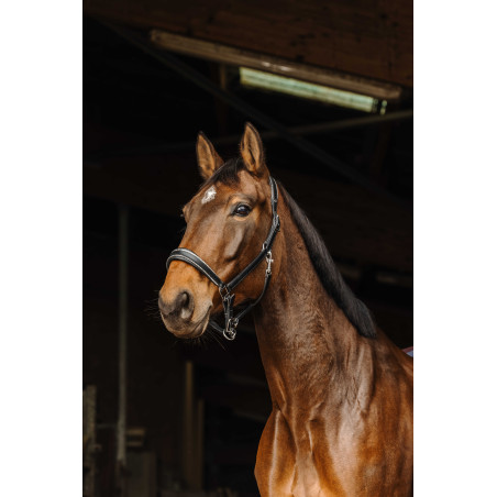 Capezza in cuoio Norton Rock