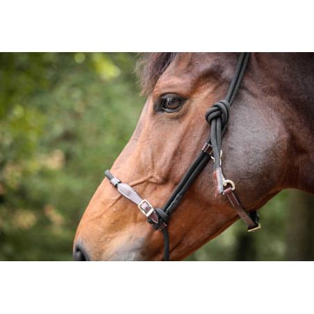 Capestro Pénélope Etologico