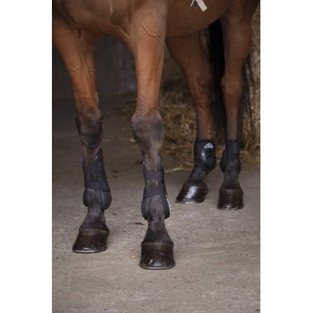 Paraglomi Norton XTR