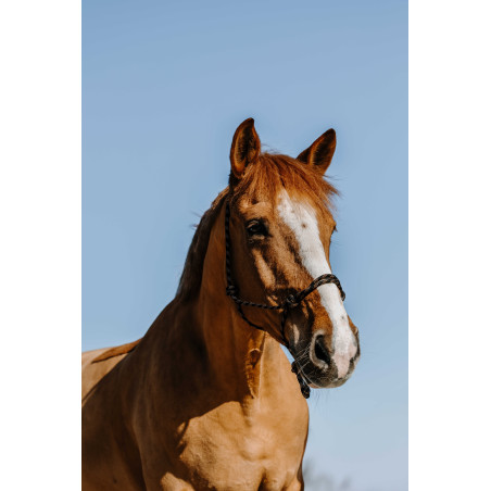 Capestro etologico Westride Western