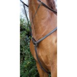 Pettorale doppia con impunture T de T