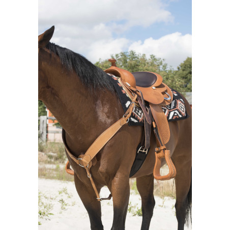 Pettorale Westride by Franck Perret Billy