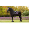 Sottosella LeMieux Loire Classic Dressage Square - Ginepro