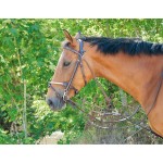 Gogue classico T de T