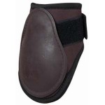 Paratendini posteriori First T di T