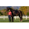Sottosella LeMieux Loire Classic Dressage Square - Blu marino / mirtillo rosso
