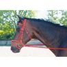 Trensenzaum Biotack® T de T - Rosso
