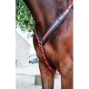 Pettorale Biotack T de T - Fucsia