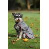 Coperta per cane Bucas Freedom 300g - Grigio fumo