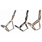 Capezza in cuoio con targhetta da incidere T de T