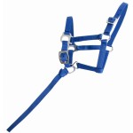 Cavezzone puledro sintetico T de T