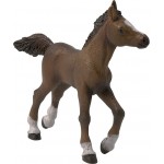 Statuina Puledro Anglo-Arabo Papo