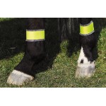 Bendaggi posteriori gialli riflettenti