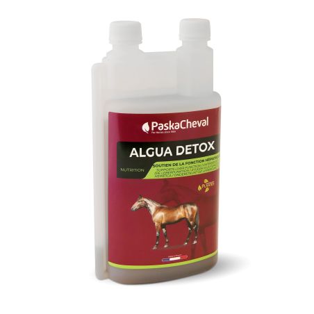 Algua Digest Paskacheval