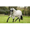 Coperta antimosche LeMieux Arika Armour-Tek - Felce